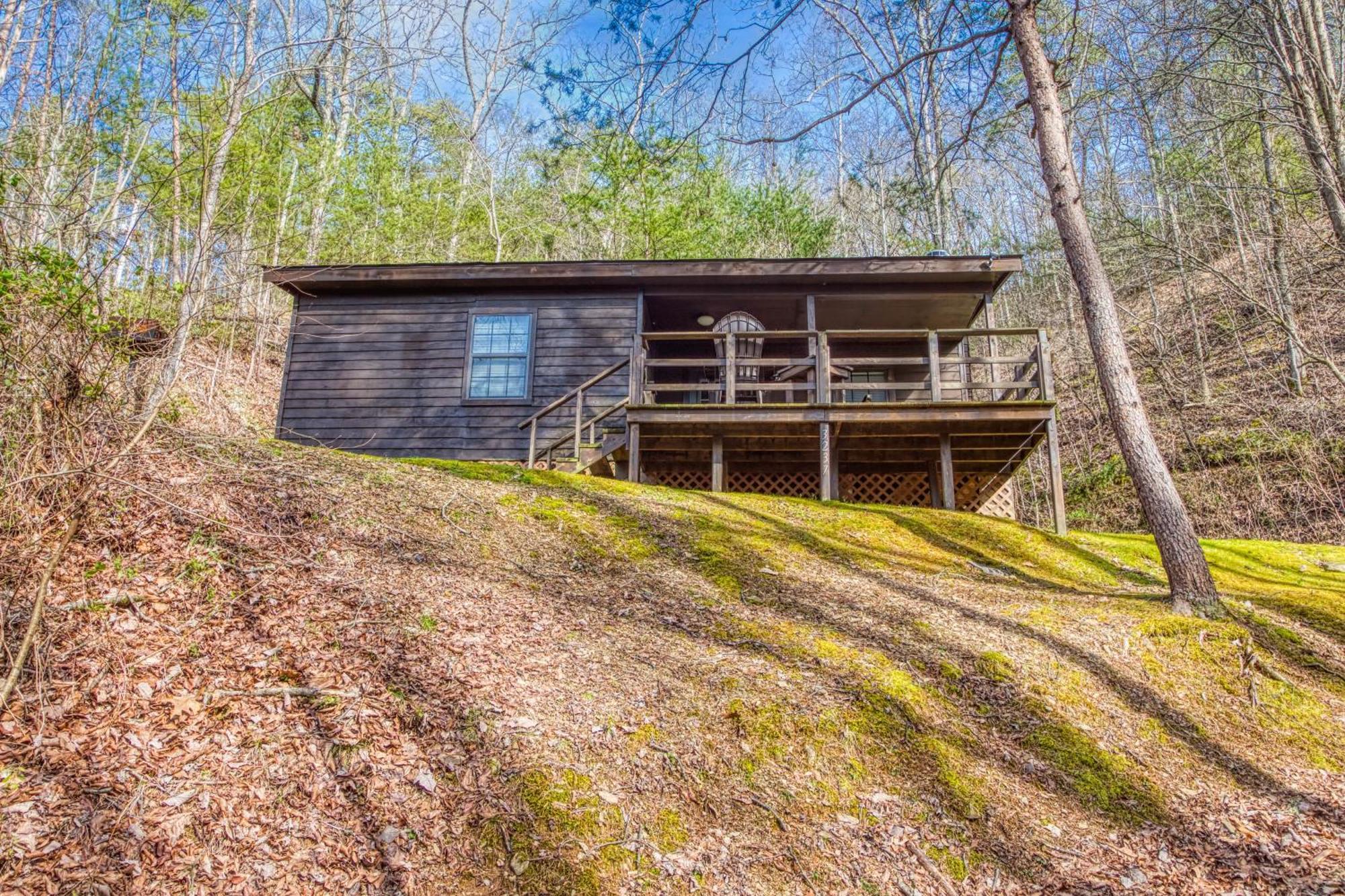 Bear Den, Hot Tub, 1089 Of Free Attraction Tickets For Each Paid Day, Dollywood And More! سيفيرفيل الغرفة الصورة